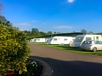 Spacious grass pitches Spacious grass pitches