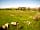 Balinoe Campsite Tiree: Campsite Garden Area