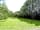 Jockhedge Touring Site: The orchards