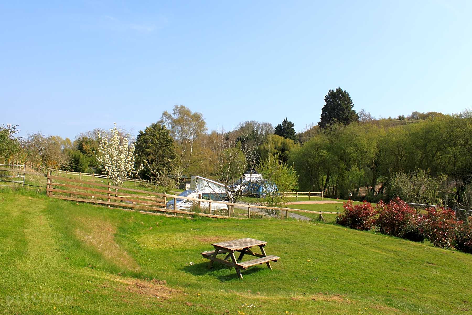 Find Cheap Tent Camping Sites in Exmouth, Devon Pitchup®