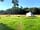 Blue Pool Camping: Our beautiful peaceful meadow complete with dragonflies and frequent visits from deer (photo added by chloe_m228031 on 25/07/2021)