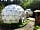 The Dome Garden: Exterior