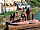 Harbour Side Caravan Site: Statues (photo added by  on 23/04/2018)