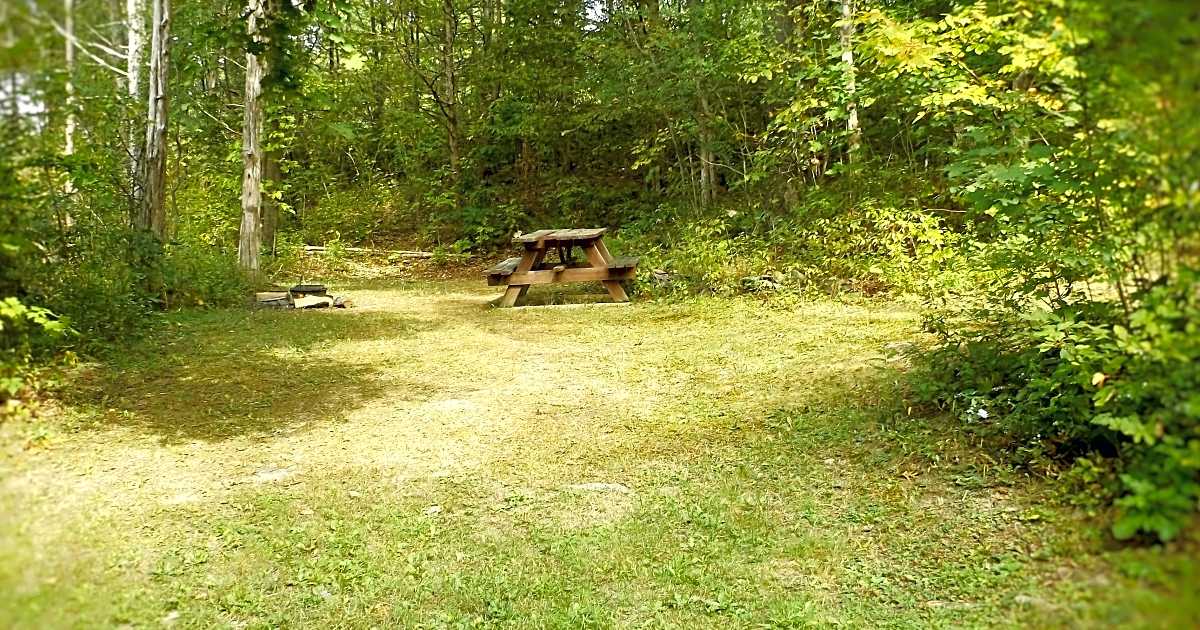 Juniper Woods, Catskill