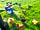 The Lorax Patch: Fresh eggs available (photo added by manager on 28/02/2022)