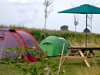 Op gras en aarde staplaats voor een tent , elektriciteit optioneel (huisdieren niet toegestaan)