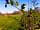 Fox’s Furrow
