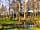 Bow Laithe Caravan Site: Pond in the wood (photo added by manager on 15/04/2021)