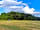 West End Farm Camping: The camping field in the gorgeous sunshine