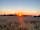 Scotlands House Campsite: Local dog-walking spot at sunset (photo added by manager on 18/08/2022)