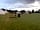 Marwell Resort: Grass pitches