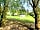 Tents on The Went: Camping field