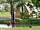 Poplar Grove Farm Caravan Park