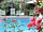 Camping Delle Rose: Roses and pool