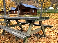 Autumn Autumn
