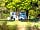 Cobleland Campsite: Pitches under the trees (photo added by manager on 07/01/2023)