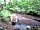 Warbleton Farms Campsite: Stream next to the pitches