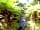 Piha Domain Motor Camp: Kitekite Falls' stream