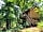 Les Cabanes des Benauges: Stairs up to the treehouse