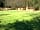Dearden Wood