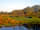 Quarry Pods: Woodland reserve pond