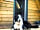 The Hen's Dens at Orchard Organic Farm: Dogs welcome