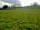 Cae Llwyn Camping (фото добавлено менеджером 22.04.2022)