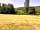 Cokes Farm: Grounds (photo added by manager on 22/07/2023)