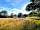 Willow Acres Campsite: Our pitch. (photo added by david_r250484 on 16/08/2022)