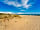 Camping Ca'Savio: Natural dunes