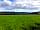 Allercott Farm: The top section of the field is very flat and with room for up to 30 tents