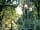 Horwood Farm Camping: Entrance into the Lower Woods footpath from the farm