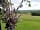Tor View Glamping: Somerset view