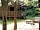 Yomer Wood Camping: The Hideout - option to cook outside on an open fire