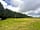 Sunrise Hill Campsite: Leylandii trees around the pitches (photo added by manager on 07/08/2023)