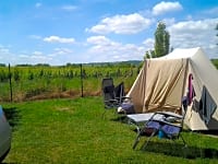 Pitches backing on to the vineyards Pitches backing on to the vineyards