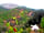 Canvas Hideaway: Beautiful views