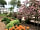 Pillars of Hercules Organic Farm: Herb garden (photo added by manager on 21/01/2023)