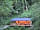 Redwood Valley - Woodland Cabin and Yurts: Well-equipped woodland kitchen (photo added by manager on 10/07/2018)