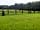 Sunny Pooh Corner: View across the pitches