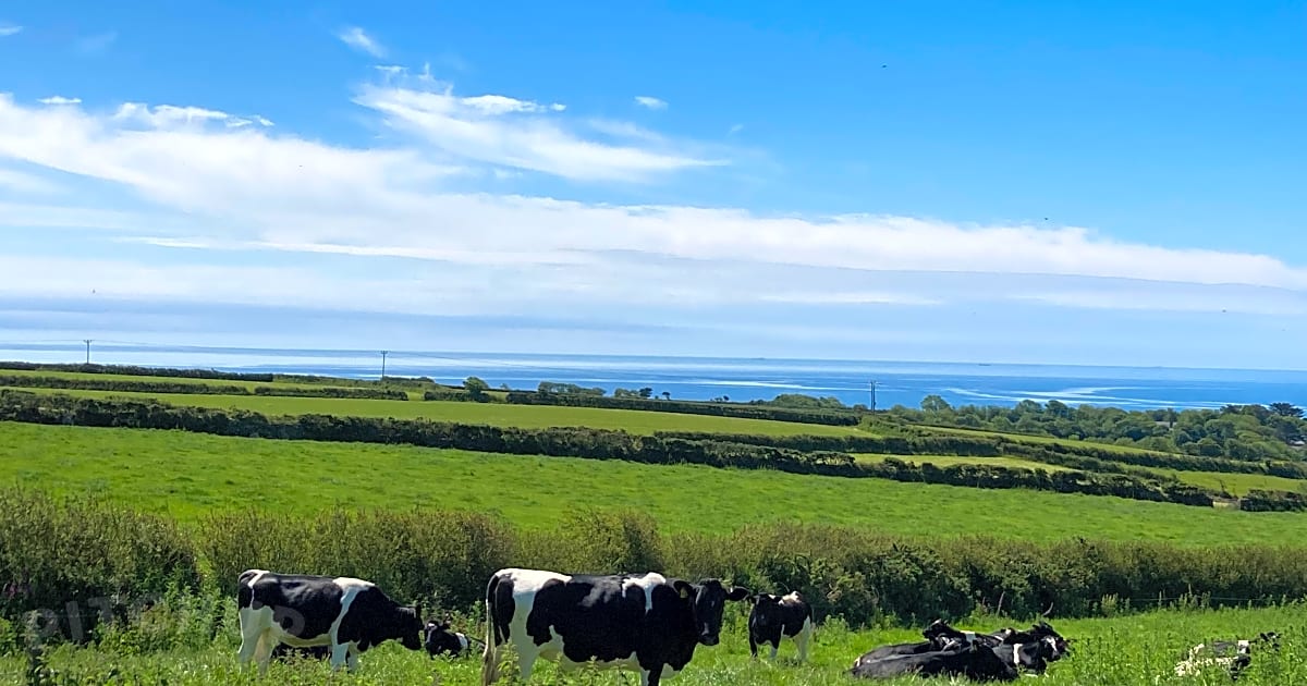 Garris Farm Caravan and Camping, Penzance Updated 2021 prices Pitchup®