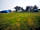 Mowbray Meadow: Grass pitches (photo added by manager on 11/01/2022)