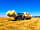 Trevoulter Farm Holidays: Making hay while the sun shines at the farm (photo added by manager on 12/07/2019)