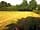 Chafford Park Campsite: The campsite