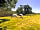 Willenhall Way