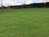 Pitch Pitch
