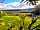 Walnut Cottage Caravan Park: Site (photo added by manager on 17/05/2021)