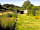 Hole Station Campsite: The café in the garden