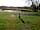 Hallcroft Fishery and Caravan Park: Hardstanding pitch with lake views