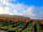 Château du Garde: Morning view of the vineyard (photo added by lorraine_s318552 on 21/11/2023)